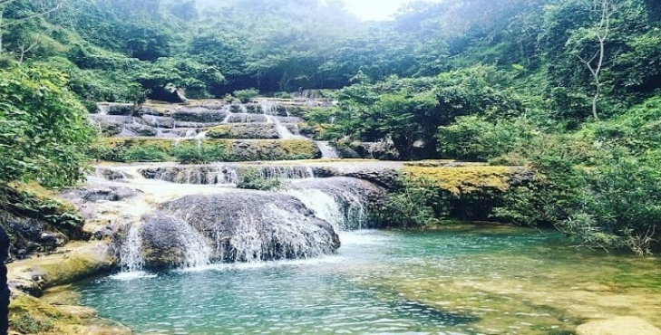 Động Phong Nha - Vườn Thực Vật 2