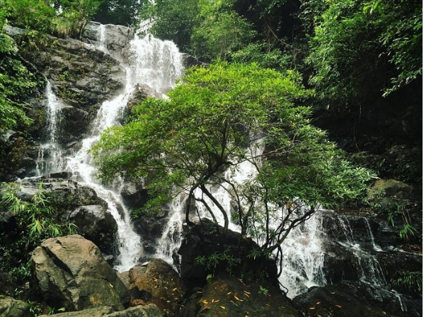 Động Thiên Đường - Vườn Thực vật 2