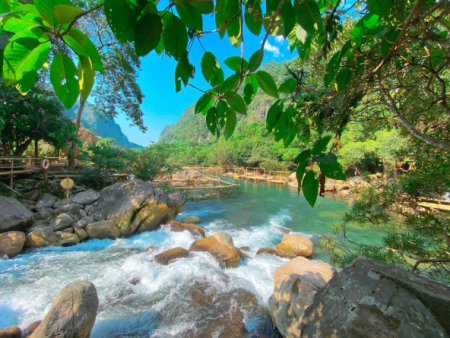 Tour Động Phong Nha 1