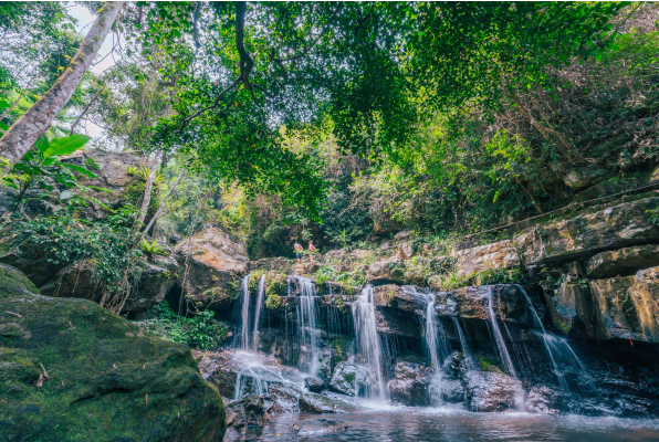 Tour “Vườn Thực Vật – Động Thiên Đường – Động Phong Nha 1