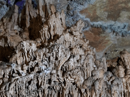 tour Động Phong Nha – Động Tiên Sơn 2